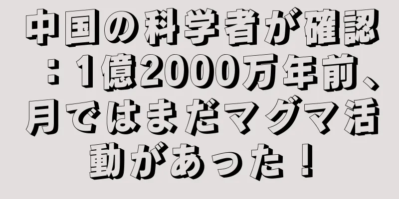 中国の科学者が確認：1億2000万年前、月ではまだマグマ活動があった！