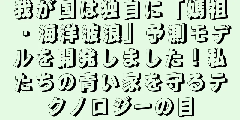 我が国は独自に「媽祖・海洋波浪」予測モデルを開発しました！私たちの青い家を守るテクノロジーの目