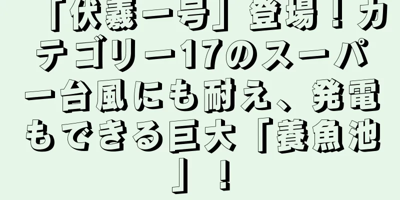 「伏羲一号」登場！カテゴリー17のスーパー台風にも耐え、発電もできる巨大「養魚池」！