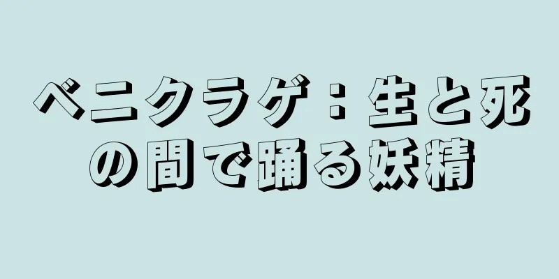 ベニクラゲ：生と死の間で踊る妖精