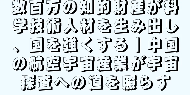 数百万の知的財産が科学技術人材を生み出し、国を強くする丨中国の航空宇宙産業が宇宙探査への道を照らす