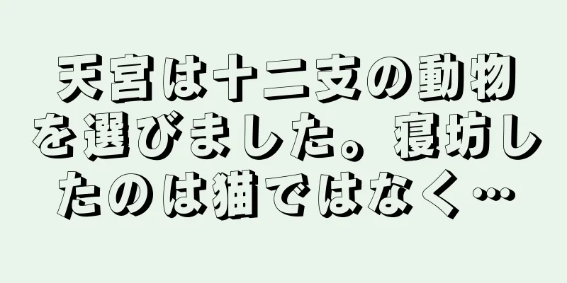 天宮は十二支の動物を選びました。寝坊したのは猫ではなく…