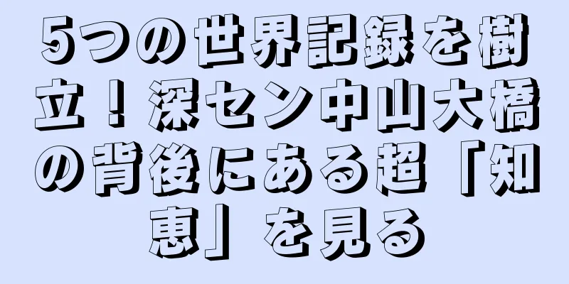 5つの世界記録を樹立！深セン中山大橋の背後にある超「知恵」を見る