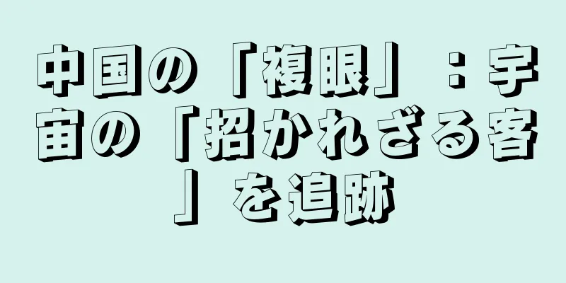 中国の「複眼」：宇宙の「招かれざる客」を追跡