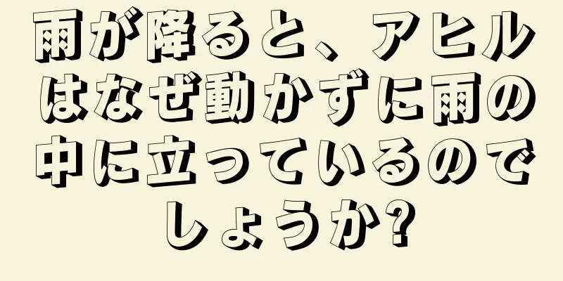 雨が降ると、アヒルはなぜ動かずに雨の中に立っているのでしょうか?