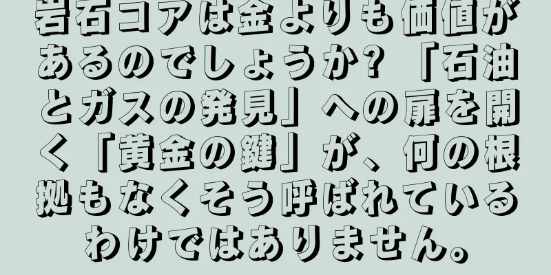 岩石コアは金よりも価値があるのでしょうか? 「石油とガスの発見」への扉を開く「黄金の鍵」が、何の根拠もなくそう呼ばれているわけではありません。