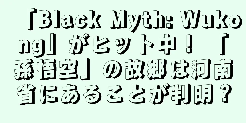 「Black Myth: Wukong」がヒット中！ 「孫悟空」の故郷は河南省にあることが判明？