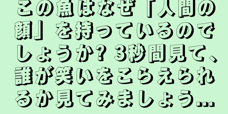 この魚はなぜ「人間の顔」を持っているのでしょうか? 3秒間見て、誰が笑いをこらえられるか見てみましょう...