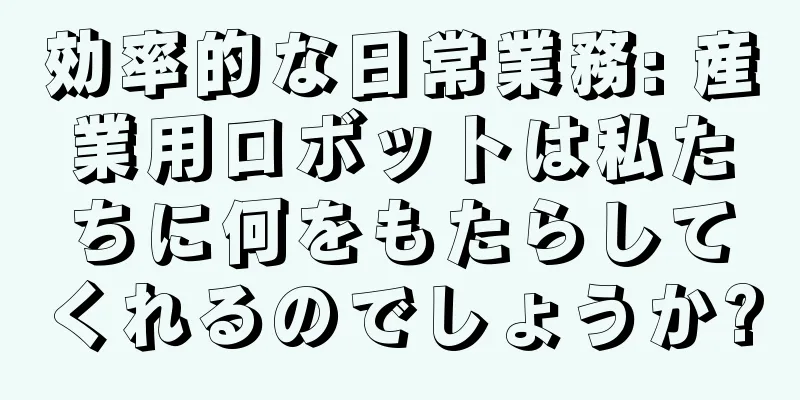 効率的な日常業務: 産業用ロボットは私たちに何をもたらしてくれるのでしょうか?