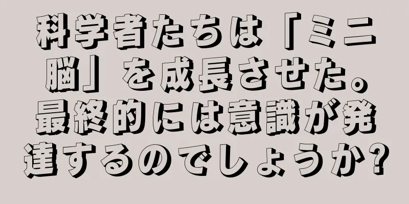 科学者たちは「ミニ脳」を成長させた。最終的には意識が発達するのでしょうか?