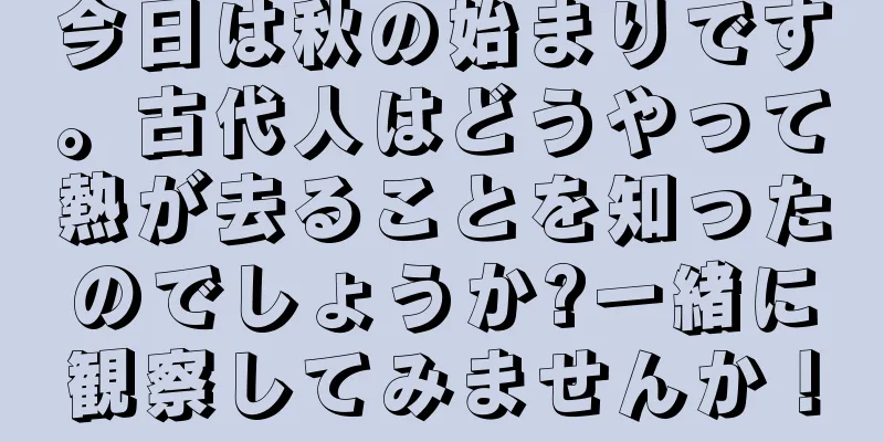今日は秋の始まりです。古代人はどうやって熱が去ることを知ったのでしょうか?一緒に観察してみませんか！