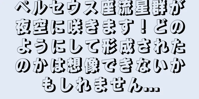 ペルセウス座流星群が夜空に咲きます！どのようにして形成されたのかは想像できないかもしれません...