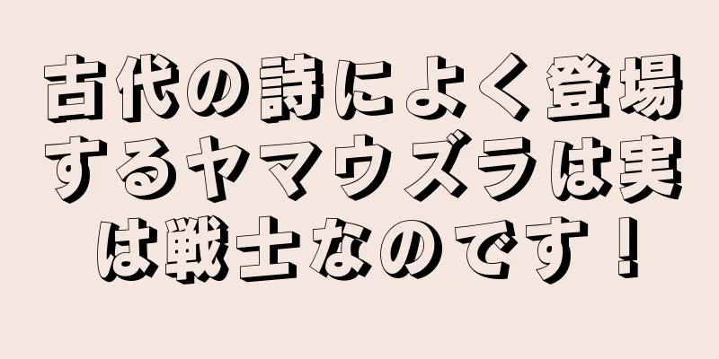 古代の詩によく登場するヤマウズラは実は戦士なのです！