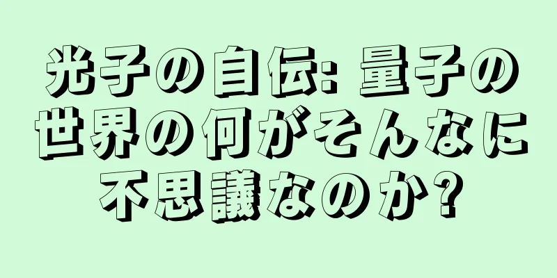 光子の自伝: 量子の世界の何がそんなに不思議なのか?