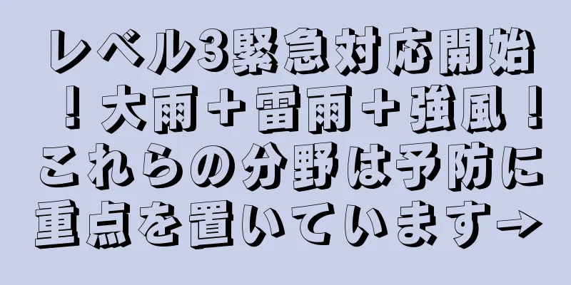 レベル3緊急対応開始！大雨＋雷雨＋強風！これらの分野は予防に重点を置いています→