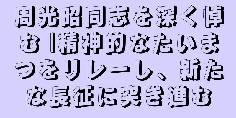 周光昭同志を深く悼む |精神的なたいまつをリレーし、新たな長征に突き進む
