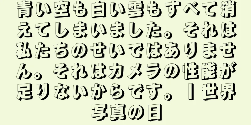 青い空も白い雲もすべて消えてしまいました。それは私たちのせいではありません。それはカメラの性能が足りないからです。丨世界写真の日