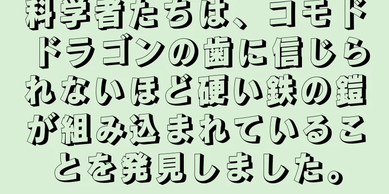 科学者たちは、コモドドラゴンの歯に信じられないほど硬い鉄の鎧が組み込まれていることを発見しました。