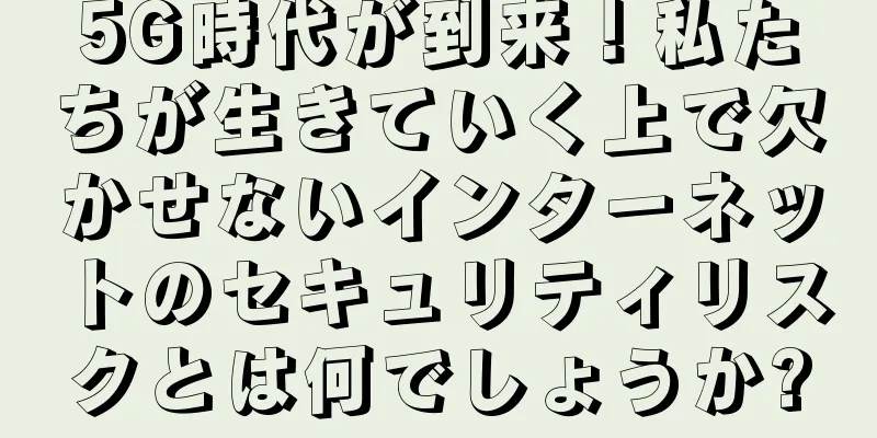 5G時代が到来！私たちが生きていく上で欠かせないインターネットのセキュリティリスクとは何でしょうか?
