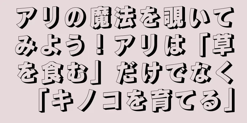 アリの魔法を覗いてみよう！アリは「草を食む」だけでなく「キノコを育てる」