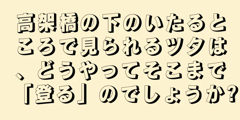 高架橋の下のいたるところで見られるツタは、どうやってそこまで「登る」のでしょうか?