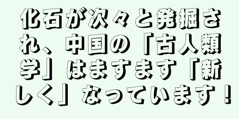 化石が次々と発掘され、中国の「古人類学」はますます「新しく」なっています！