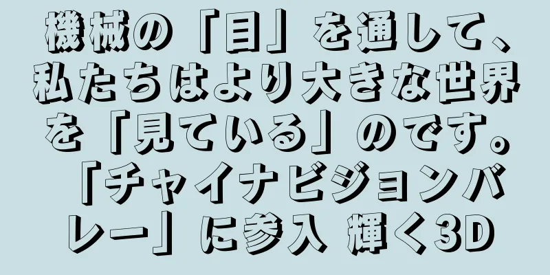機械の「目」を通して、私たちはより大きな世界を「見ている」のです。 「チャイナビジョンバレー」に参入 輝く3D