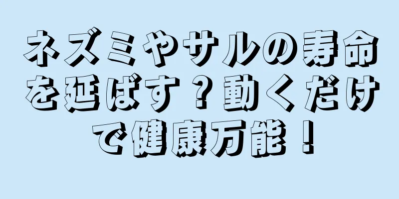 ネズミやサルの寿命を延ばす？動くだけで健康万能！