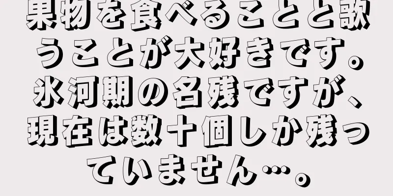 果物を食べることと歌うことが大好きです。氷河期の名残ですが、現在は数十個しか残っていません…。