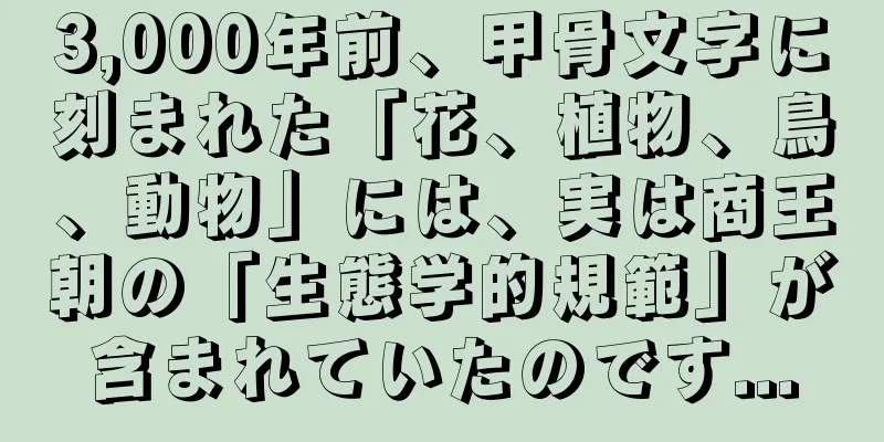 3,000年前、甲骨文字に刻まれた「花、植物、鳥、動物」には、実は商王朝の「生態学的規範」が含まれていたのです...