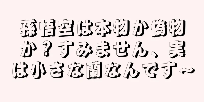 孫悟空は本物か偽物か？すみません、実は小さな蘭なんです～