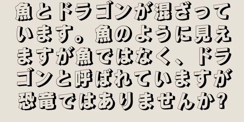 魚とドラゴンが混ざっています。魚のように見えますが魚ではなく、ドラゴンと呼ばれていますが恐竜ではありませんか?