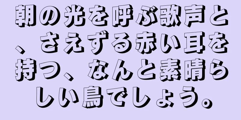 朝の光を呼ぶ歌声と、さえずる赤い耳を持つ、なんと素晴らしい鳥でしょう。
