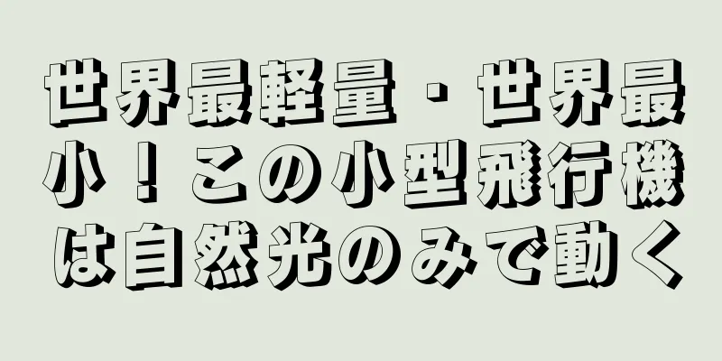世界最軽量・世界最小！この小型飛行機は自然光のみで動く