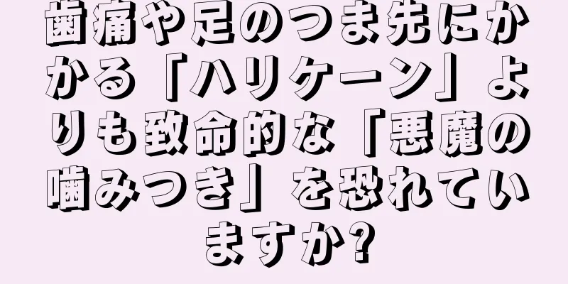 歯痛や足のつま先にかかる「ハリケーン」よりも致命的な「悪魔の噛みつき」を恐れていますか?