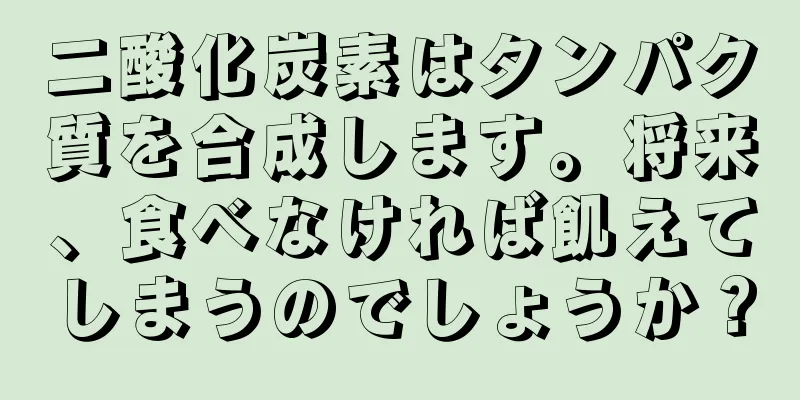 二酸化炭素はタンパク質を合成します。将来、食べなければ飢えてしまうのでしょうか？