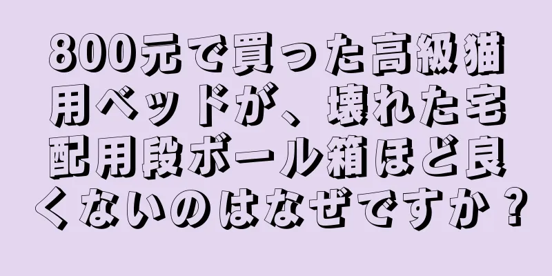 800元で買った高級猫用ベッドが、壊れた宅配用段ボール箱ほど良くないのはなぜですか？