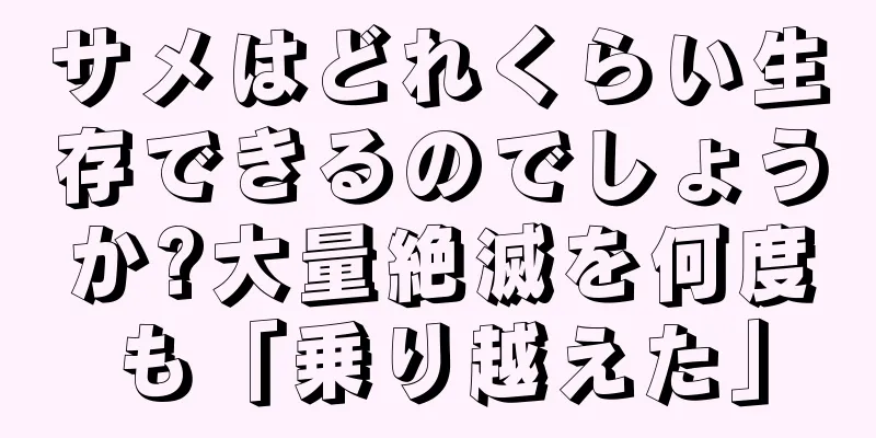 サメはどれくらい生存できるのでしょうか?大量絶滅を何度も「乗り越えた」