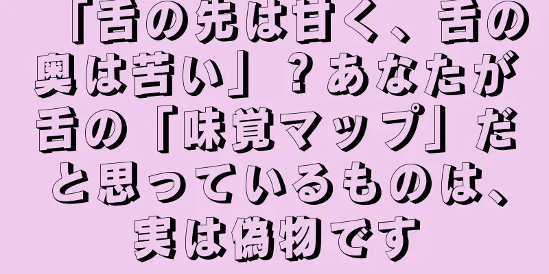 「舌の先は甘く、舌の奥は苦い」？あなたが舌の「味覚マップ」だと思っているものは、実は偽物です