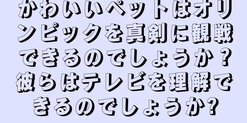 かわいいペットはオリンピックを真剣に観戦できるのでしょうか？彼らはテレビを理解できるのでしょうか?