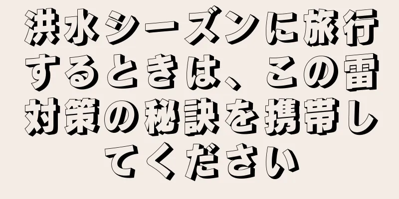 洪水シーズンに旅行するときは、この雷対策の秘訣を携帯してください