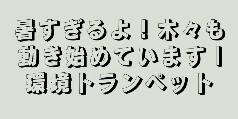 暑すぎるよ！木々も動き始めています |環境トランペット