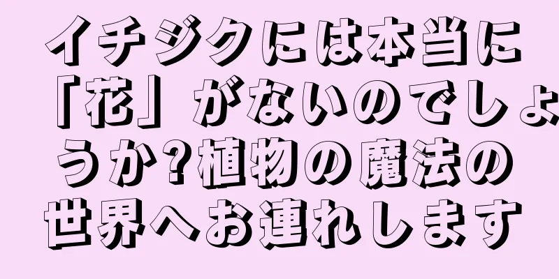 イチジクには本当に「花」がないのでしょうか?植物の魔法の世界へお連れします