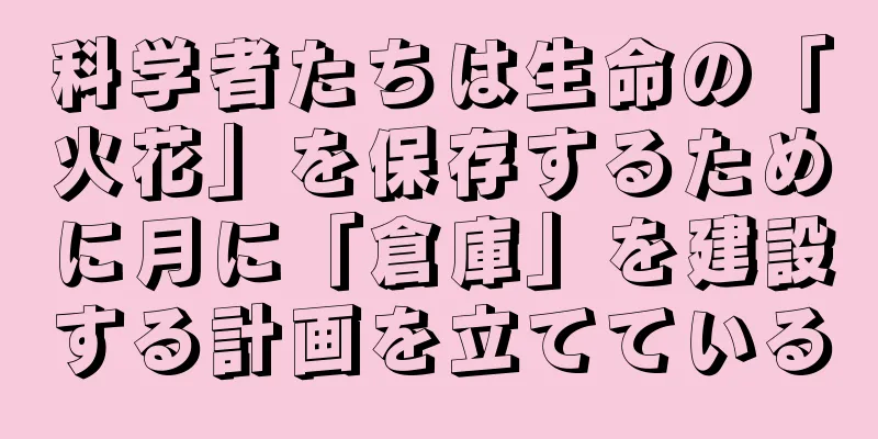科学者たちは生命の「火花」を保存するために月に「倉庫」を建設する計画を立てている