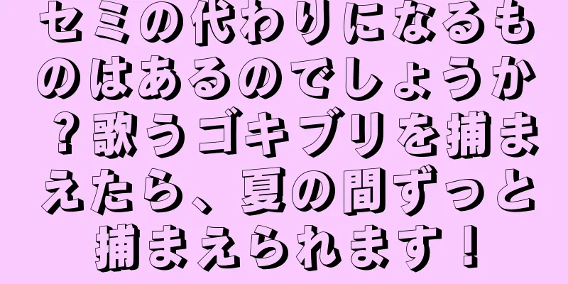 セミの代わりになるものはあるのでしょうか？歌うゴキブリを捕まえたら、夏の間ずっと捕まえられます！