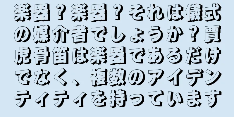 楽器？楽器？それは儀式の媒介者でしょうか？賈虎骨笛は楽器であるだけでなく、複数のアイデンティティを持っています