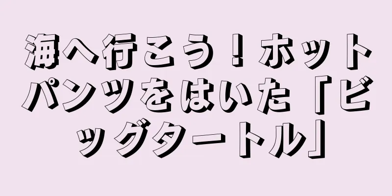海へ行こう！ホットパンツをはいた「ビッグタートル」