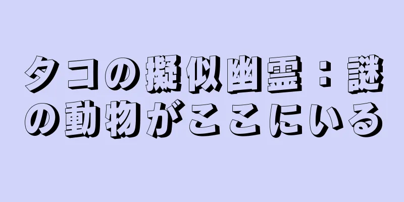 タコの擬似幽霊：謎の動物がここにいる