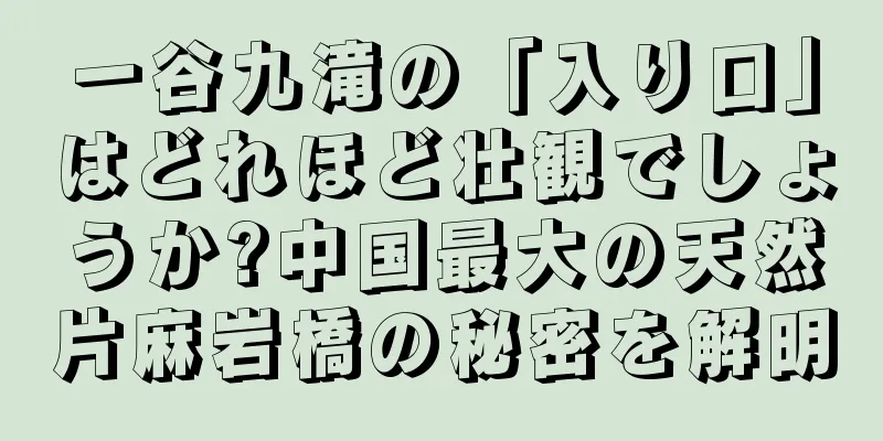 一谷九滝の「入り口」はどれほど壮観でしょうか?中国最大の天然片麻岩橋の秘密を解明