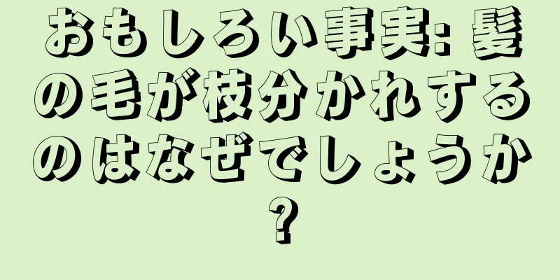 おもしろい事実: 髪の毛が枝分かれするのはなぜでしょうか?